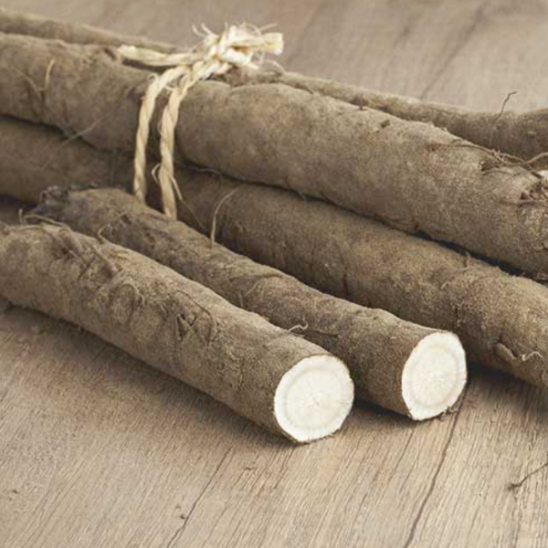 Burdock Root Tincture