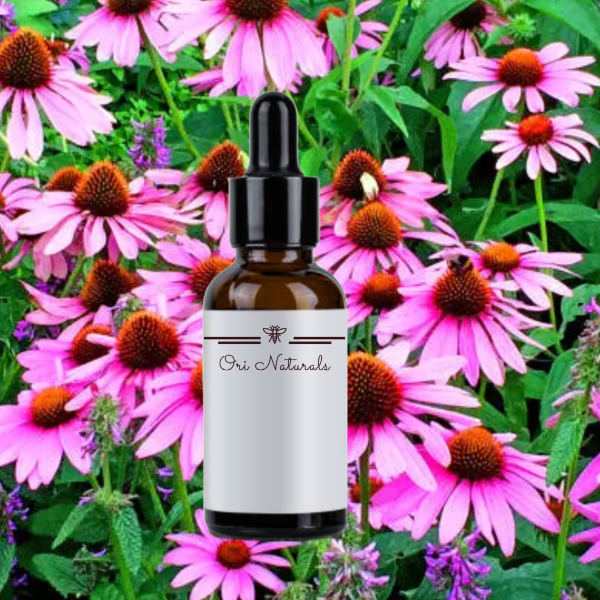 Echinacea Root Tincture