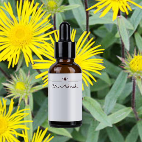 Elecampane Root Tea Respiratory System | Ori Naturals
