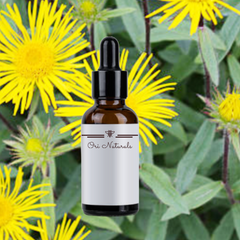 Elecampane Root Tincture