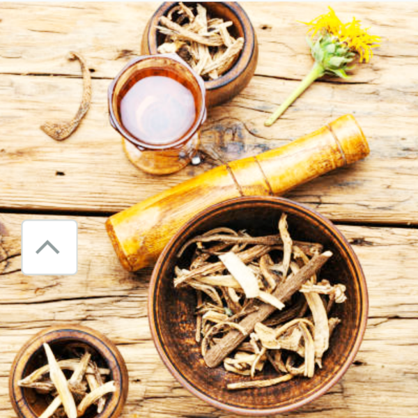 Elecampane Root Tincture